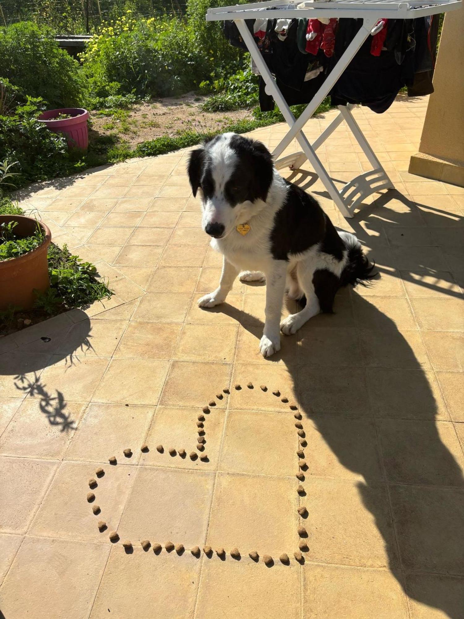 Esmaraldas House Of Love Terrasini Luaran gambar